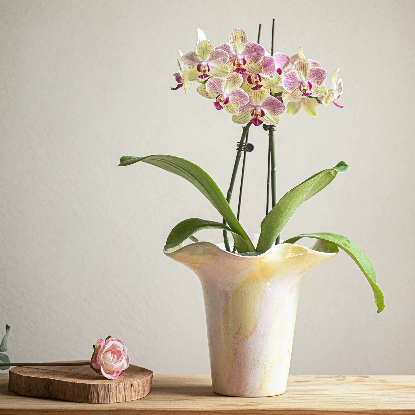 New Chinese Style Ceramic Desktop Planter, Gradient Color