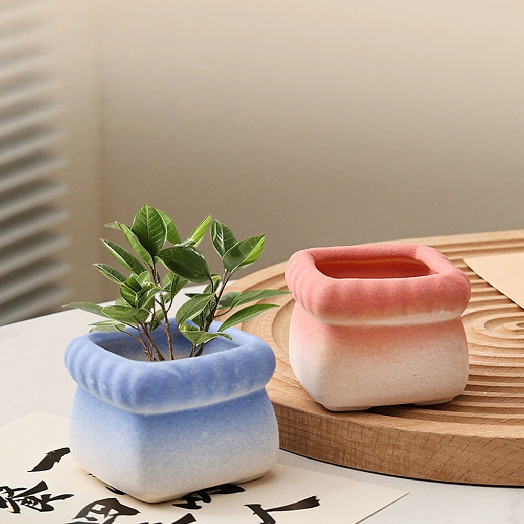 Square Cartoon Mini Ceramic Succulent Planter, Gradient Color