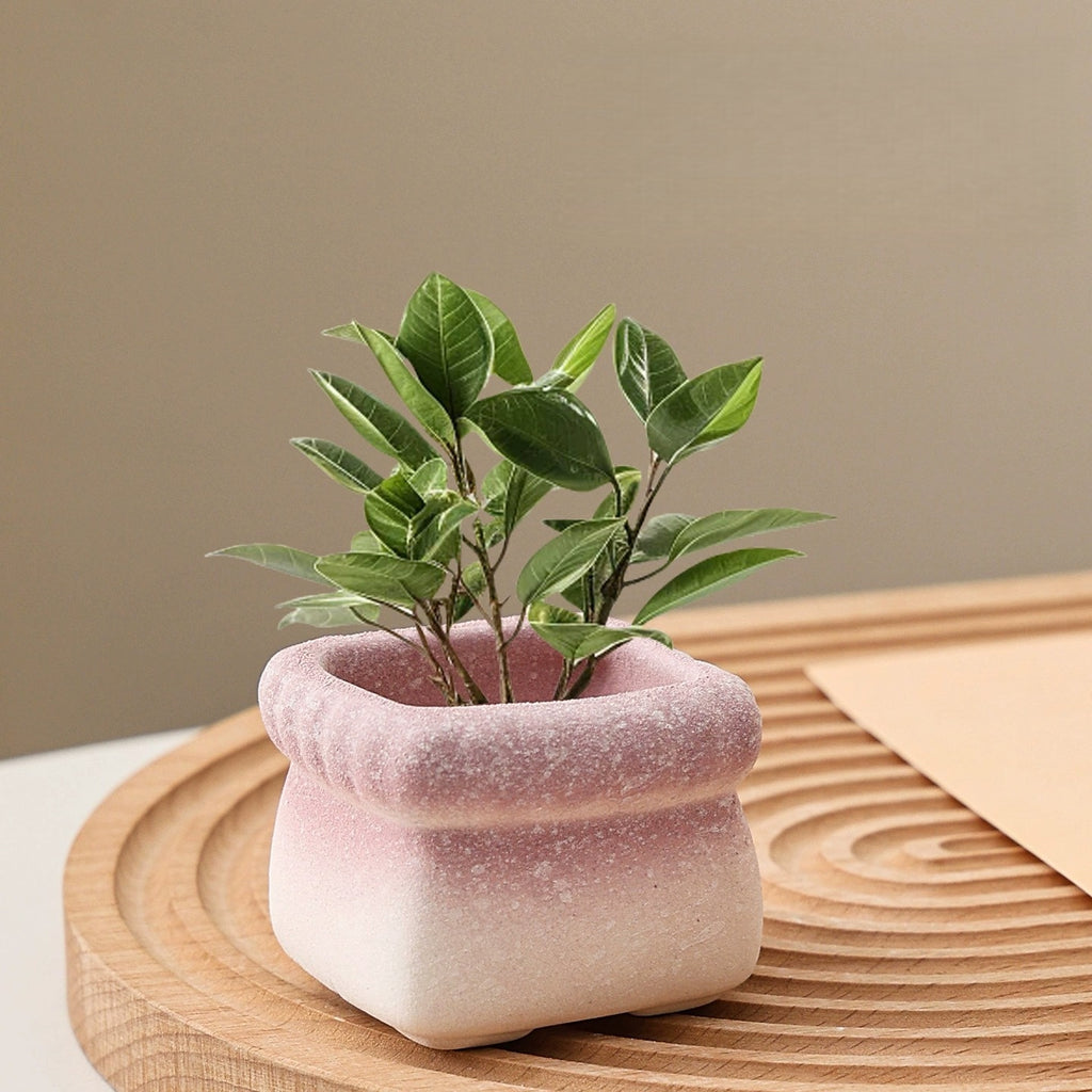 Square Cartoon Mini Ceramic Succulent Planter, Gradient Color