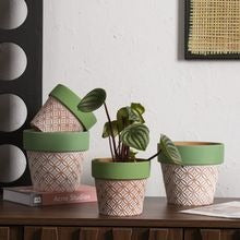 Minimalist Ceramic Floor Planter with Green Edge, Coin Pattern