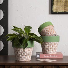 Minimalist Ceramic Floor Planter with Green Edge, Coin Pattern