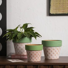 Minimalist Ceramic Floor Planter with Green Edge, Coin Pattern