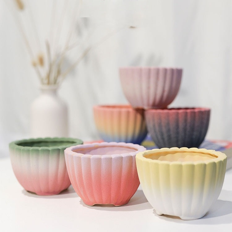 Minimalist Coarse Ceramic Succulent Planter, Gradient Color