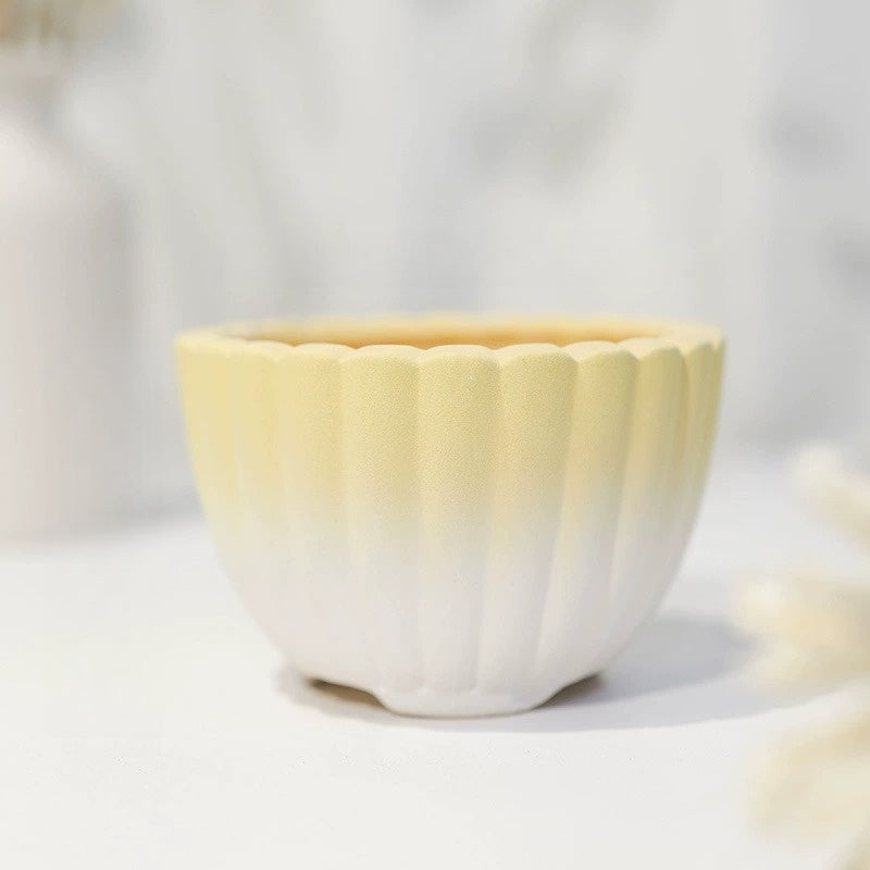 Minimalist Coarse Ceramic Succulent Planter, Gradient Color