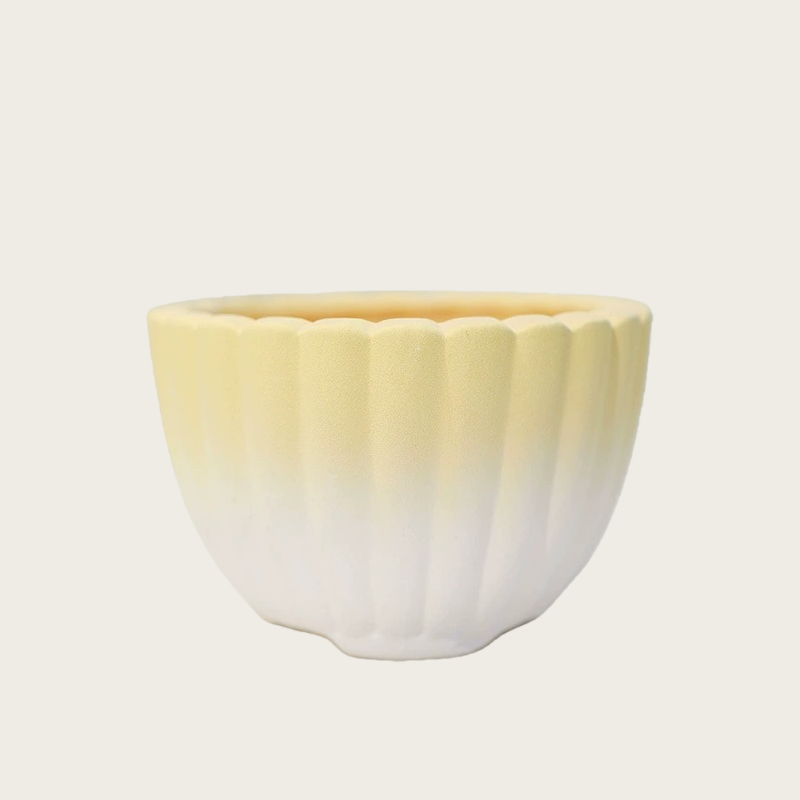 Minimalist Coarse Ceramic Succulent Planter, Gradient Color