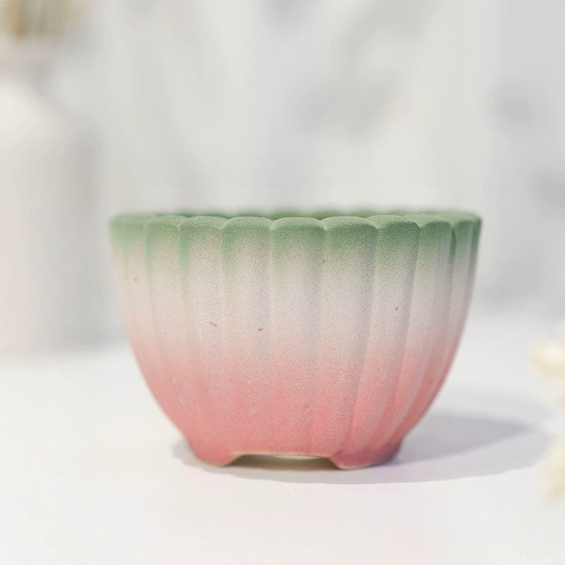 Minimalist Coarse Ceramic Succulent Planter, Gradient Color