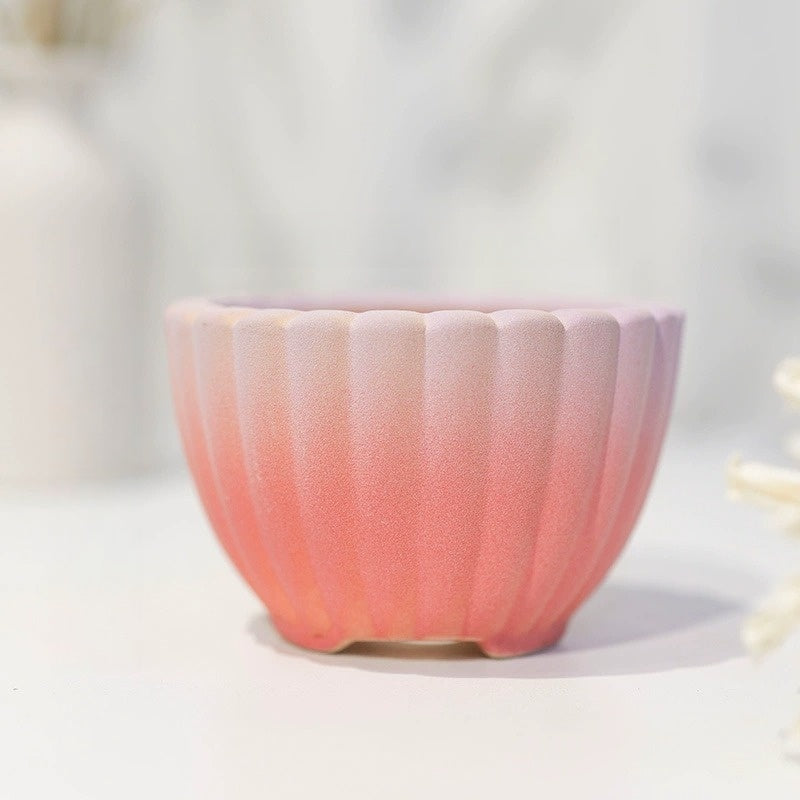 Minimalist Coarse Ceramic Succulent Planter, Gradient Color