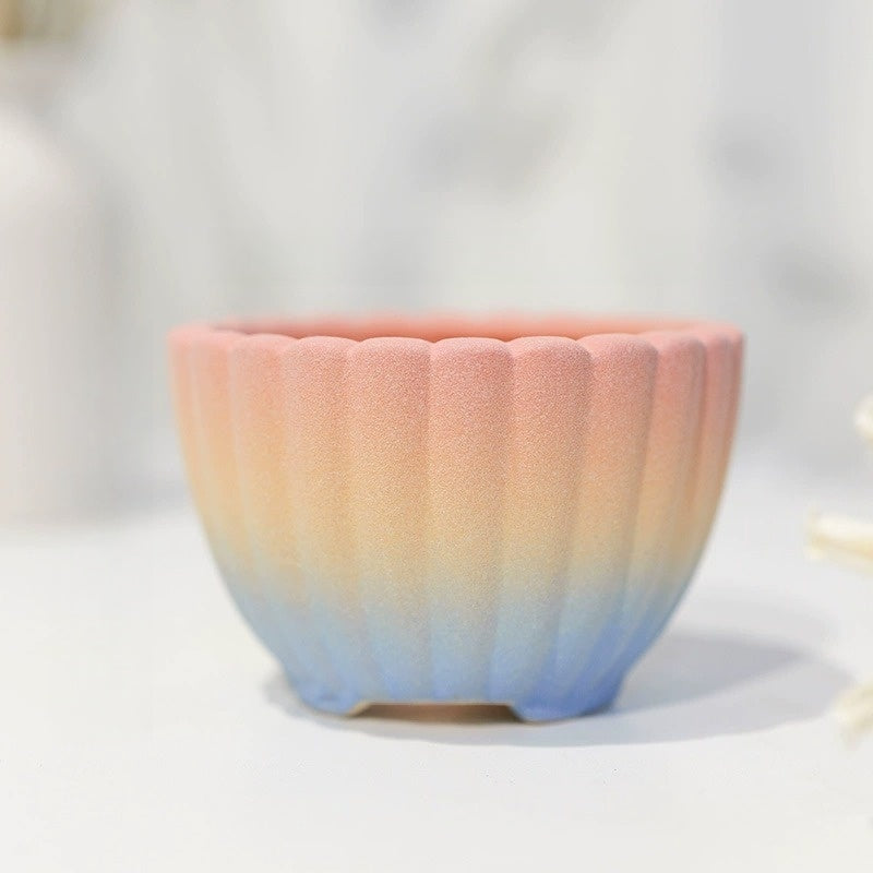 Minimalist Coarse Ceramic Succulent Planter, Gradient Color