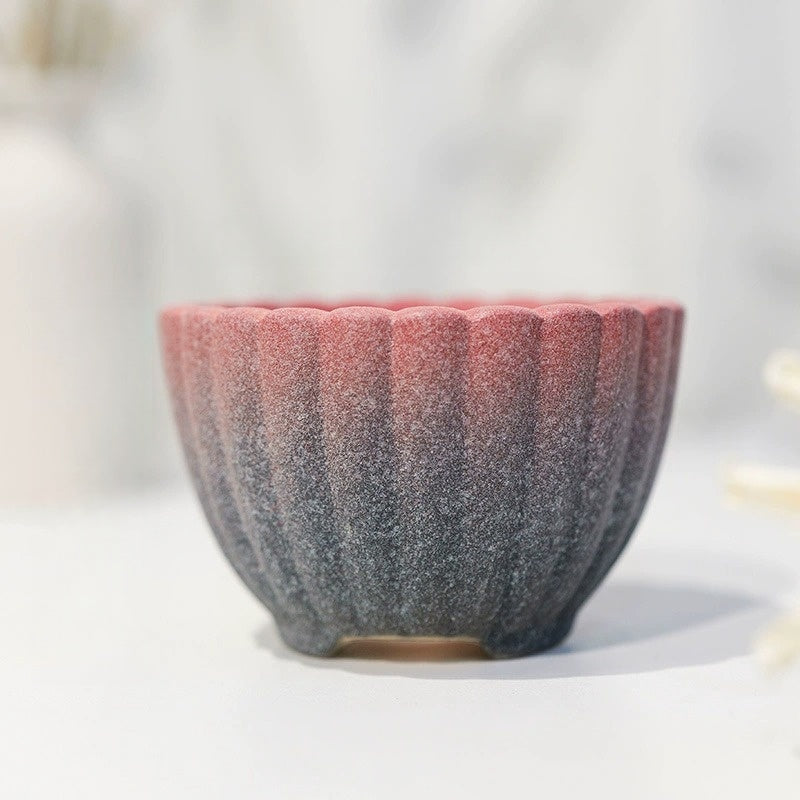 Minimalist Coarse Ceramic Succulent Planter, Gradient Color