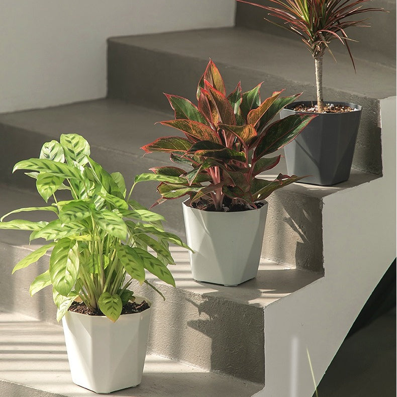 Nordic Minimalist Plastic Planter, Large Desktop & Floor Pot