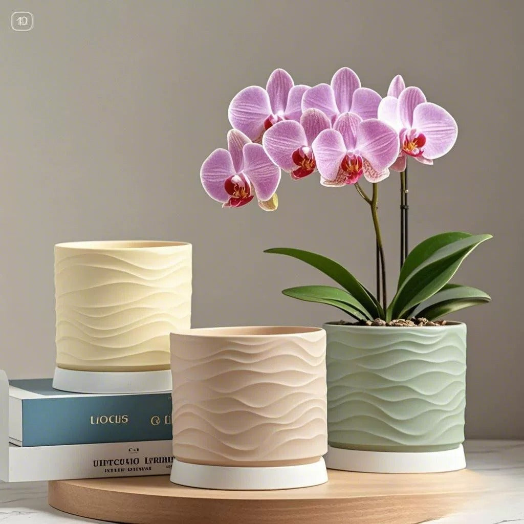 Minimalist Ceramic Desktop Planter with Wave Pattern