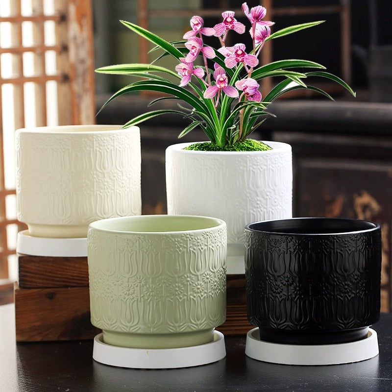 Nordic Style Ceramic Desktop Planter, Waterdrop Pattern