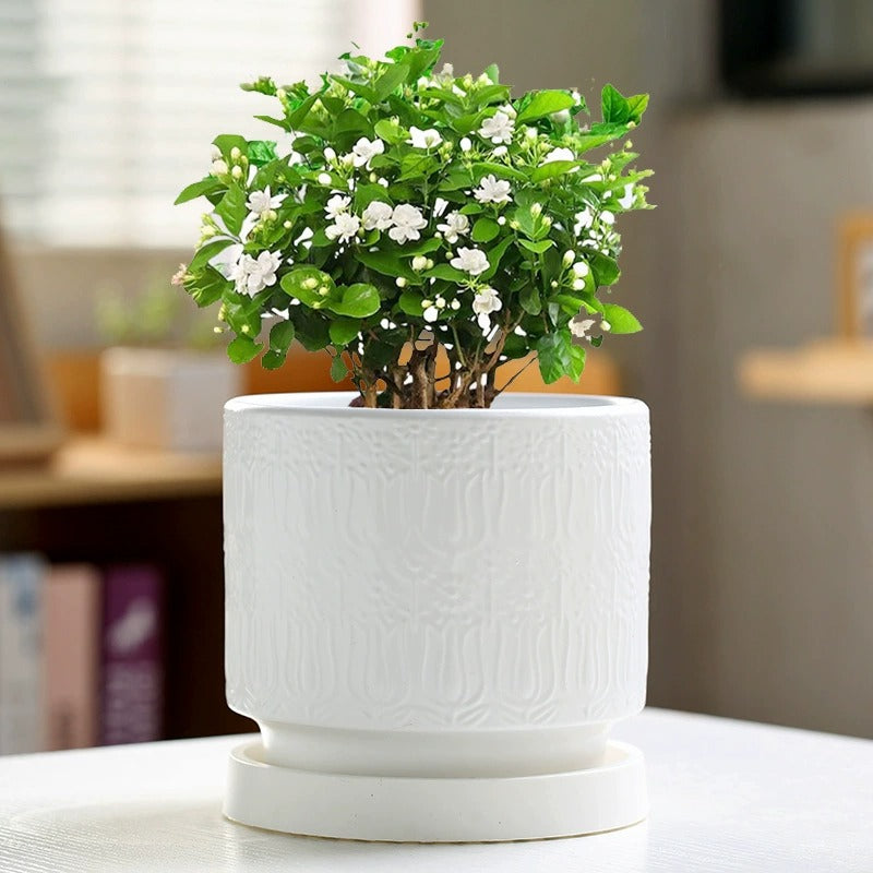Nordic Style Ceramic Desktop Planter, Waterdrop Pattern