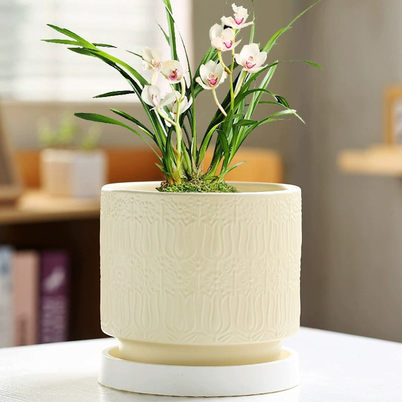 Nordic Style Ceramic Desktop Planter, Waterdrop Pattern