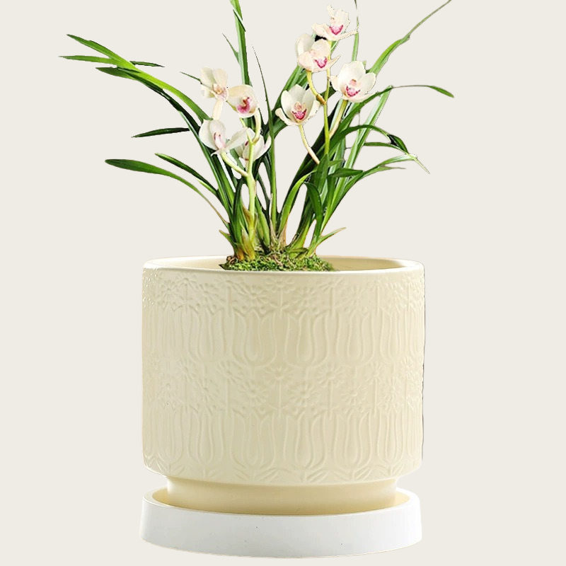 Nordic Style Ceramic Desktop Planter, Waterdrop Pattern
