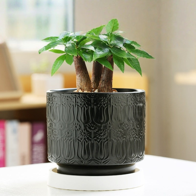 Nordic Style Ceramic Desktop Planter, Waterdrop Pattern