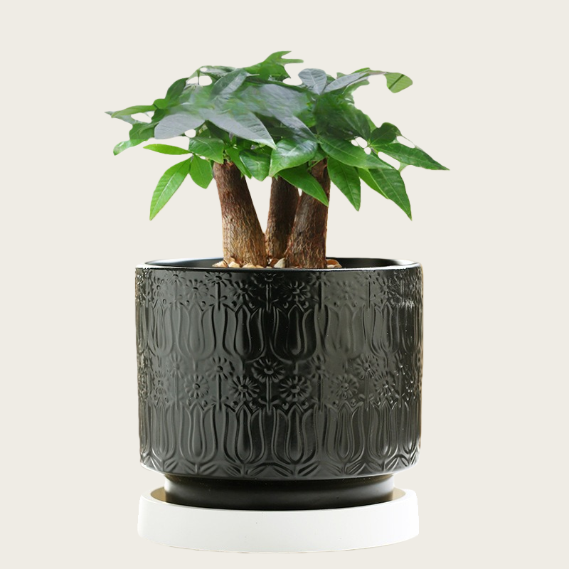 Nordic Style Ceramic Desktop Planter, Waterdrop Pattern