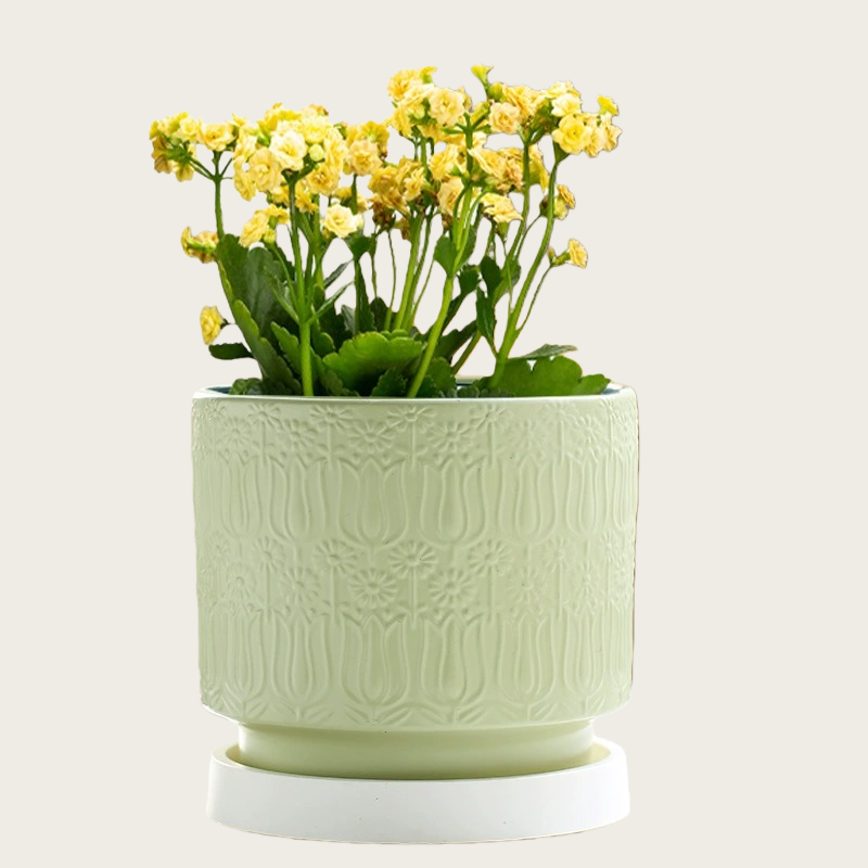 Nordic Style Ceramic Desktop Planter, Waterdrop Pattern