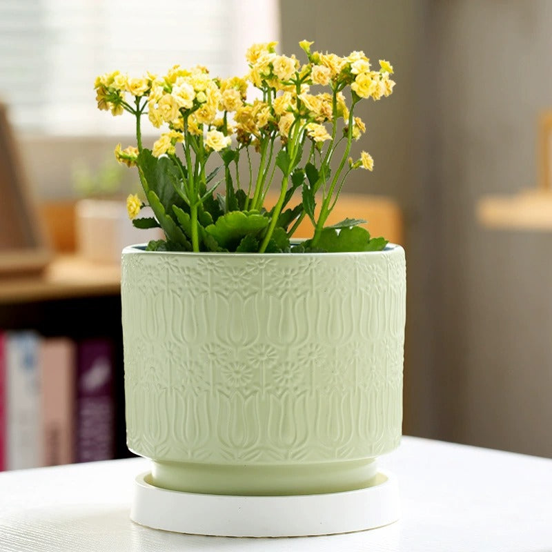 Nordic Style Ceramic Desktop Planter, Waterdrop Pattern