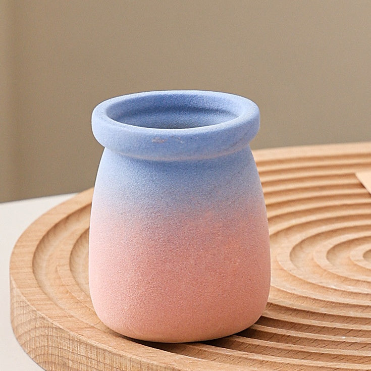 Cartoon Style Mini Coarse Ceramic Succulent Planter, Gradient Color