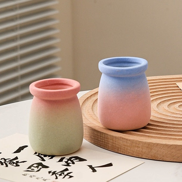 Cartoon Style Mini Coarse Ceramic Succulent Planter, Gradient Color