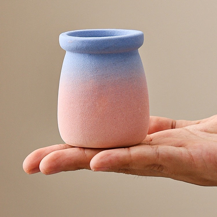 Cartoon Style Mini Coarse Ceramic Succulent Planter, Gradient Color