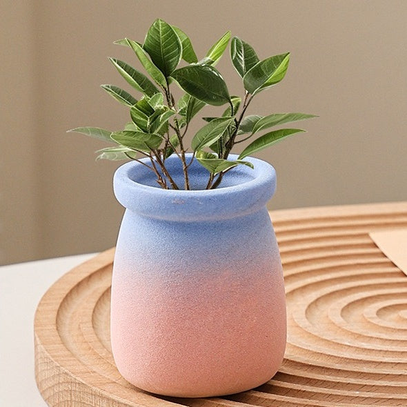 Cartoon Style Mini Coarse Ceramic Succulent Planter, Gradient Color