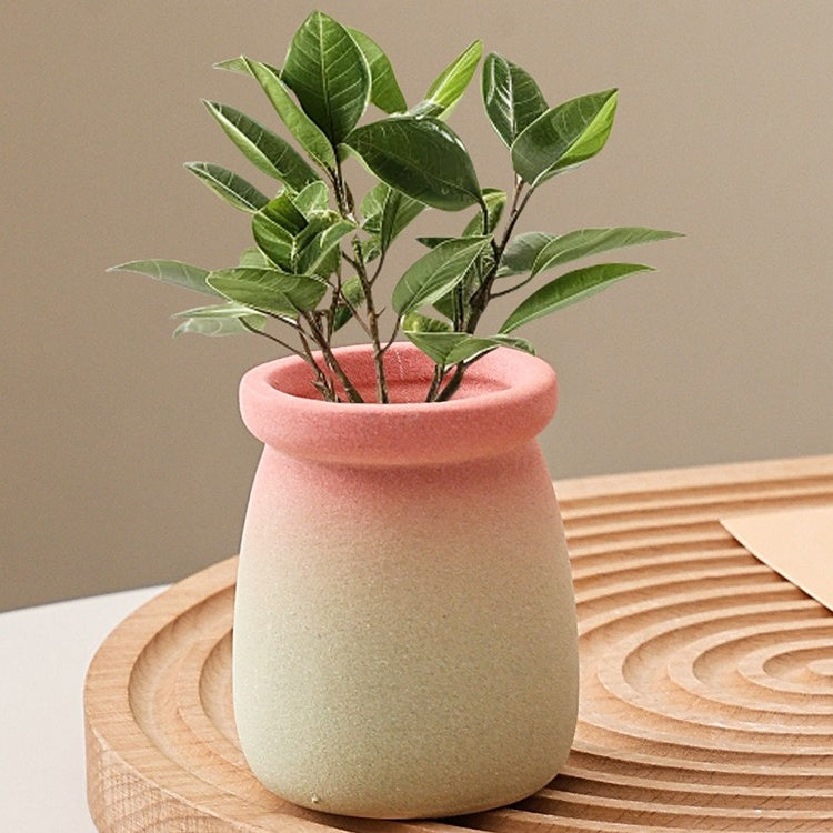 Cartoon Style Mini Coarse Ceramic Succulent Planter, Gradient Color