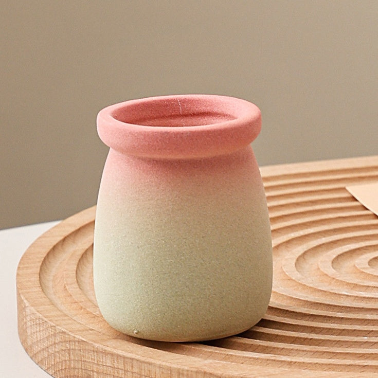 Cartoon Style Mini Coarse Ceramic Succulent Planter, Gradient Color